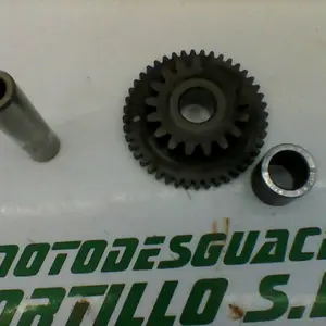 Foto de Piñón del motor de arranque Suzuki Marauder 125 referencia 46-19-17676 foto 6