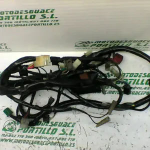 Foto de Instalación electrica Honda LEAD 100 referencia 197-17-29068 foto 3
