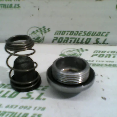 Foto de Tapon vaciado de aceite Kymco Grand dink 125 referencia 166-20-33147
