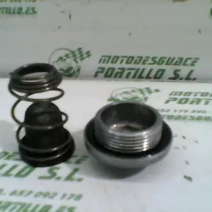 Foto de Tapon vaciado de aceite Kymco Grand dink 125 referencia 166-20-33147