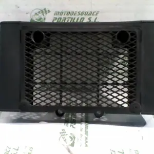 Foto de Protector de radiador Daelim Daystar 125 referencia 43-24-48227 foto 6
