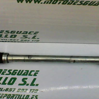 Foto de Eje de rueda delantera Kawasaki Eliminator 125 referencia 274-18-17563