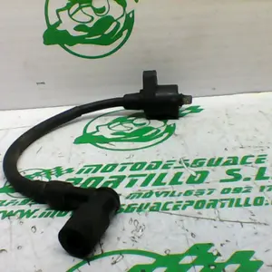 Foto de Bobina Yamaha XMAX 250 referencia 213-19-37372 foto 6