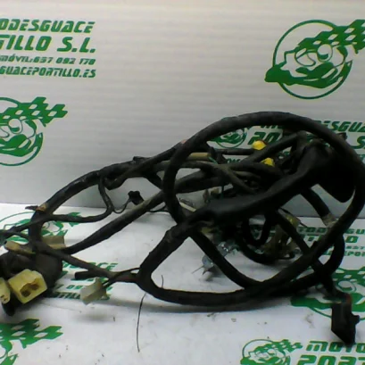 Foto de Instalación electrica Honda SKY 50 referencia 90-18-29840