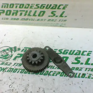 Foto de Piñón del motor de arranque Malaguti PHANTOM MAX referencia 70-20-25685
