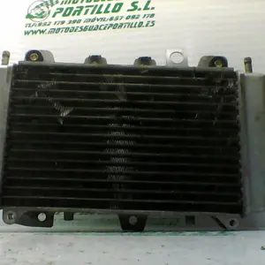 Foto de Radiador Piaggio X9 125 referencia 244-19-24208 foto 9