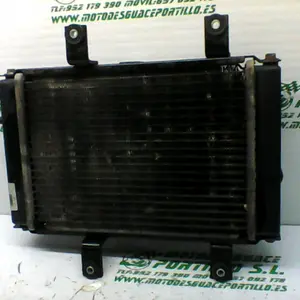 Foto de Radiador Sym CITYCOM 300 I referencia 246-19-22953 foto 3