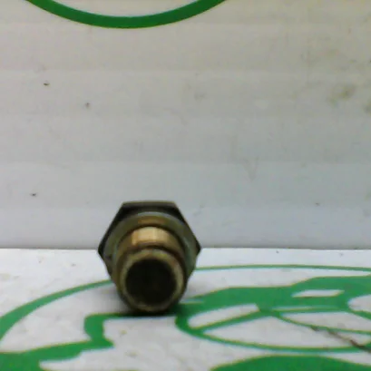 Foto de Sensor de temperatura Malaguti PHANTOM F12 referencia 380-21-41589