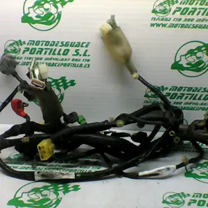 Foto de Instalación electrica Honda Pcx 125 referencia 407-22-40841