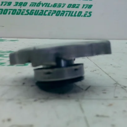 Foto de Tapon del radiador Honda PS 125 referencia 106-24-47661