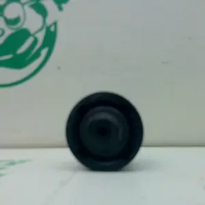 Foto de Tapón bote expansor Vespa Granturismo 125 referencia 426-22-44772