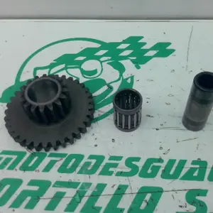 Foto de Piñón del motor de arranque Yamaha XT 600 E referencia 72-24-48016 foto 4