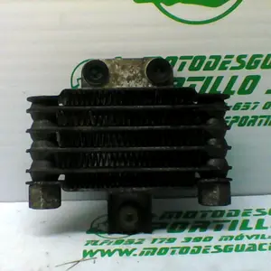 Foto de Radiador Daelim S2 125 referencia 68-21-29670 foto 3