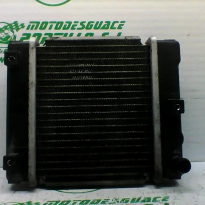 Foto de Radiador Kymco super dink 300 i referencia 367-19-43479