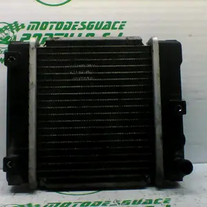 Foto de Radiador Kymco super dink 300 i referencia 367-19-43479 foto 1