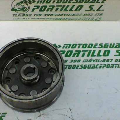 Foto de Plato magnetico Honda CBF 125 M referencia 166-22-34872