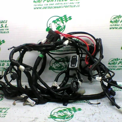 Foto de Instalación electrica Yamaha TRICITY 125I referencia 307-21-35633
