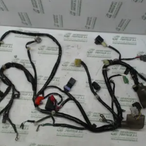 Foto de Instalación electrica Honda Pcx 125 referencia 407-22-40841 foto 6