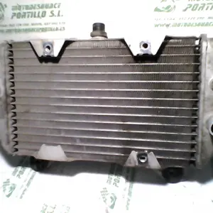 Foto de Radiador Honda Forza 250 referencia 234-18-16124 foto 4