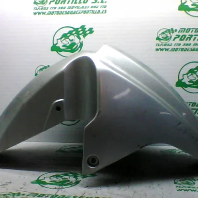 Foto de Guardabarro delantero Suzuki BURGMAN 400 referencia 307-19-33316