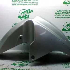 Foto de Guardabarro delantero Suzuki BURGMAN 400 referencia 307-19-33316 foto 1