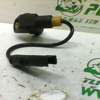 Foto de Pick-up BMW F 800 ST referencia 312-19-24596