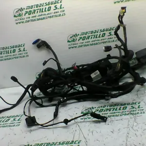 Foto de Instalación electrica BMW F 800 ST referencia 312-19-24446 foto 4