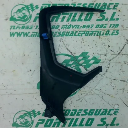 Foto de Embellecedor cuentakilómetros Honda FORZA 125 referencia 396-25-48997