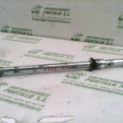 Foto de Eje de rueda delantera Yamaha Cygnus x 125 referencia 40-19-17978