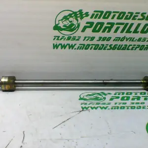 Foto de Eje de rueda delantera Daelim S3 125 I referencia 75-21-29249
