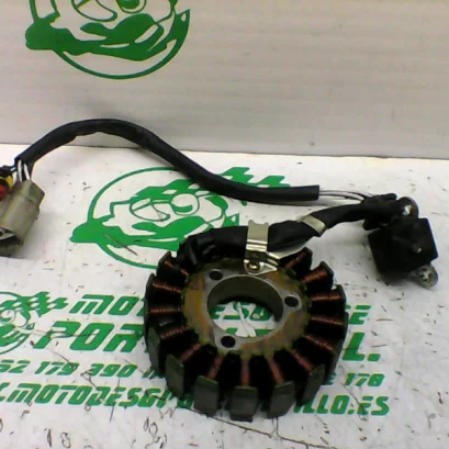 Foto de Encendido Benelli MACIS referencia 324-22-40138