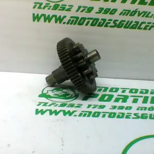 Foto de Piñón del motor de arranque Derbi RAMBLA 250 referencia 304-20-27213