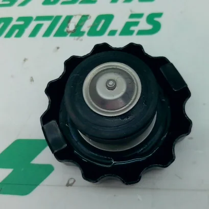 Foto de Tapon del radiador Benelli MACIS referencia 324-22-39816