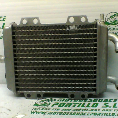 Foto de Radiador Peugeot ELYSTAR 125 referencia 354-20-43044