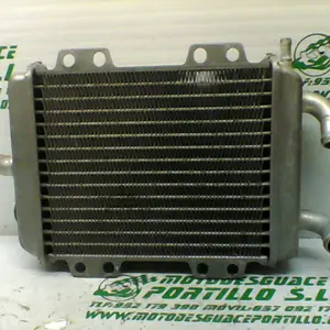 Foto de Radiador Peugeot ELYSTAR 125 referencia 354-20-43044