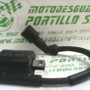 Foto de Bobina Yamaha Majesty 125 referencia 80-19-39319 foto 4