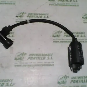 Foto de Bobina Suzuki Intruder 250 referencia 391-23-46934 foto 11