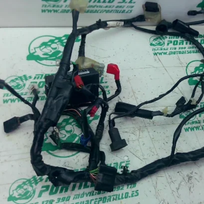 Foto de Instalación electrica Honda FORZA 125 referencia 396-25-49047