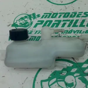 Foto de Bote expansor Honda SH 125 2018 referencia 327-24-48733 foto 1