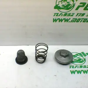 Foto de Tapon vaciado de aceite Kymco Grand dink 125 referencia 166-20-33147 foto 7