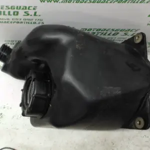 Foto de Deposito gasolina Honda Pantheon 125 4T referencia 22-17-3568