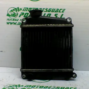 Foto de Radiador Honda Lead 110 referencia 77-17-39043 foto 2
