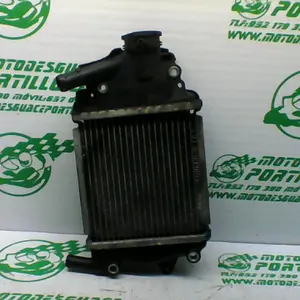 Foto de Radiador Honda Pcx 125 referencia 181-23-46198 foto 12