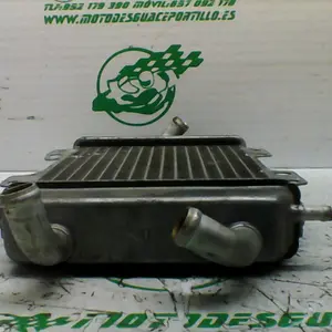 Foto de Radiador Peugeot ELYSTAR 125 referencia 354-20-43044 foto 5