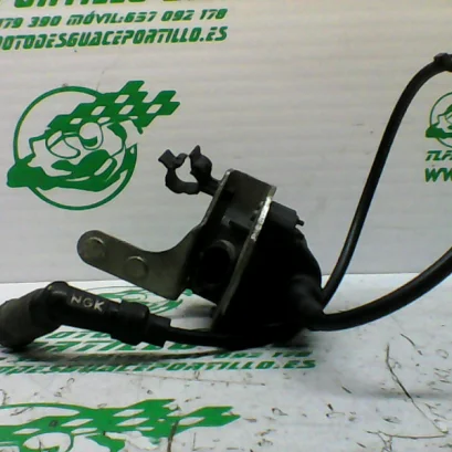 Foto de Bobina Gilera NEXUS 300I referencia 173-22-36329