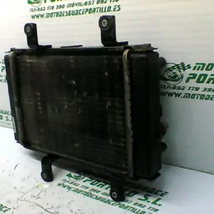 Foto de Radiador Sym CITYCOM 300 I referencia 246-19-22953 foto 4