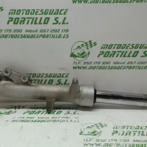 Foto de Barra horquilla izquierda Piaggio X8 125 referencia 86-19-18739 foto 9