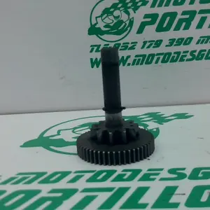 Foto de Piñón del motor de arranque Yamaha XMAX 250 referencia 213-19-37386 foto 4
