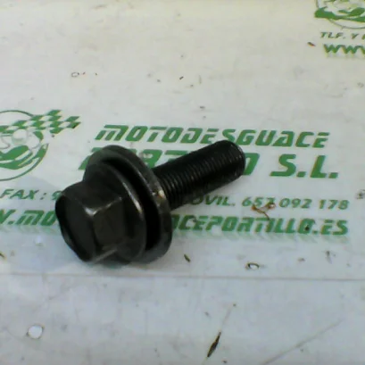 Foto de Tornillo del Cigüeñal Suzuki BANDIT GSF 650 S referencia 201-18-15293