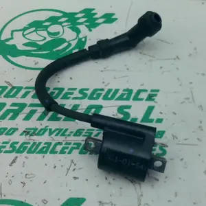 Foto de Bobina Yamaha N MAX 125 referencia 394-23-46370 foto 3